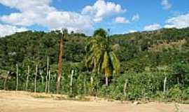 Frei Serafim - Paisagem da regio-Foto:littleshedow [Panoramio]