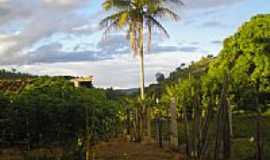 Fronteira dos Vales - Fazenda Miragem-Foto:Eugenio Ribas [Panoramio]