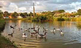 Frutal - Frutal-MG-Lago do Parque Municipal dos Lagos-Foto:Altemiro Olinto Cristo 