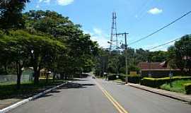 Furnas - Furnas-MG-Rua arborizada-Foto:Alexandre Bonacini