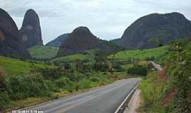 Goiabeira - Imagens de Goiabeira - MG