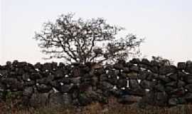 Gouveia - Muro de pedras em Gouveia-Foto:geoglauco