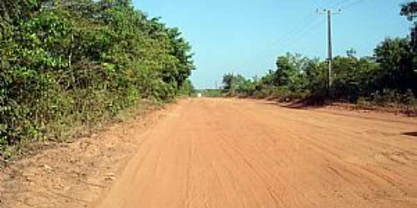 So Joaquim do Pacu-AP-Estrada de terra-Foto:C.Freiberg.O