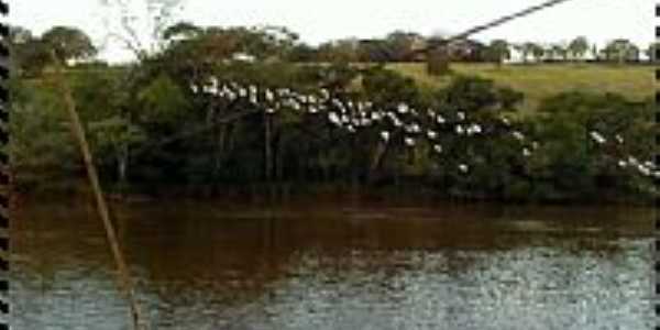 Rio Sapuca-Foto:fer e cah [Panoramio]