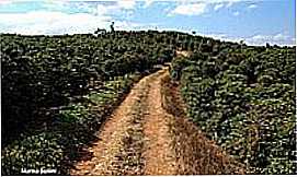 Guaransia - 