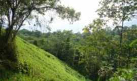 Serra do Navio - Abismo da estrada da colonia e serra, Por wirley almeida santos