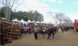 Ibertioga - FESTIVAL DE CARRO DE BOIS, Por POR MAESTRO ALENCAR (Kacai)