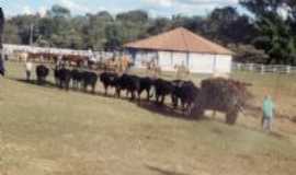 Ibertioga - CARRO DE BOIS TRADIO DE IBERTIOGA, Por MAESTRO ALENCAR    KACAI