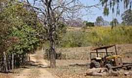 Ijaci - Imagem rural-Foto:Tullio Pdua