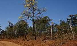 Ijaci - Estrada de terra-Foto:Tullio Pdua