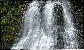 Ilicnea - Cachoeira do Garimpo