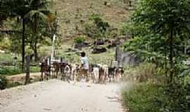 Itabirinha de Mantena - Imagem rural-Foto:decio coutinho 