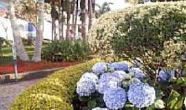 Itumirim - 