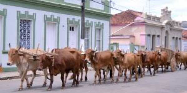 Carro de bois em Jacu-MG, Por Edson dos Santos Clarismunde