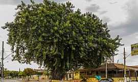 Januria - Januria - Minas Gerais