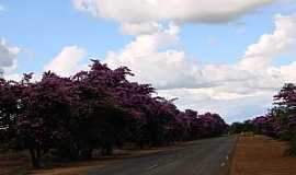 Lagoa da Prata - Lagoa da Prata-MG-Via paralela ao campo de pouso-Foto:Prof. Dr. Ivan Andrade