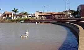 Lagoa Formosa - Patos na Lagoa-Foto:Joao Paulo StiflerLF 