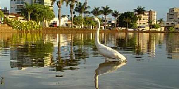 Lagoa Formosa-MG-Vista da Lagoa-Foto:Olhares - Sapo