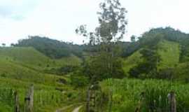 Laranjal - 