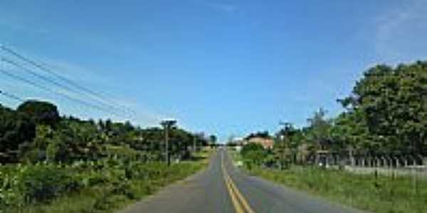 Chegando em Acupe-BA-Foto:Andre L. S. Lacerda