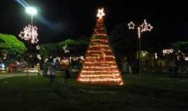 Lontra - Praa Princesa Isabel, Natal 2014., Por Ingrid Naiara