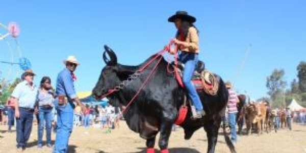 Festa do Carro de Boi de MAcuco de MInas, Por Wender Andrade