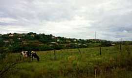 Madre de Deus de Minas - Madre de Deus de Minas-MG-rea rural e ao fundo a cidade-Foto:Andr Saliya - Ritpolis