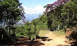 Manhumirim - Vegetao do Parque do Sagui