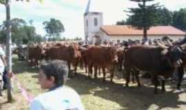 Monte Santo de Minas - desfile carro de boi ,da festa queima do alho, Por Ivan Menegasse