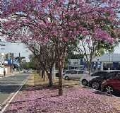 Imagem da cidade de Mucuri - MG