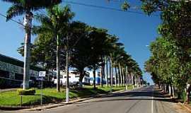 Muzambinho - Entrada da cidade - Muzambinho 