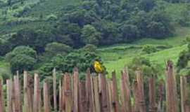 Natrcia - Natrcia-MG-Imagem da rea rural-Foto:Carson1954