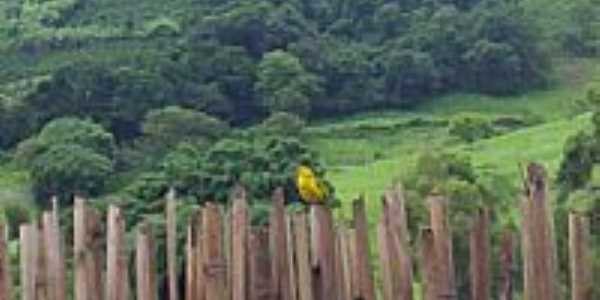 Natrcia-MG-Imagem da rea rural-Foto:Carson1954