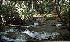 Ona de Pitangui - Cachoeira da Pedra-Foto:Andr Moises