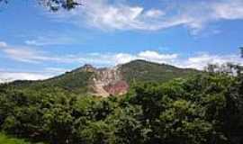 Ona de Pitangui - Serra da Caulim-Foto:Andr Moises