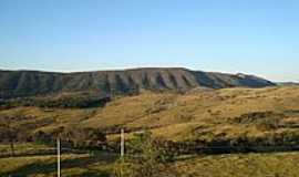 Ona de Pitangui - Serra dos Ferreiras-Foto:Andr Moises