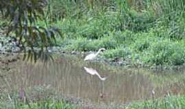 Ouro Branco - Ouro Branco-MG-Gara no Lago Soledade-Foto:CarlosMagnooliveira