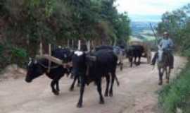 Ouro Fino - Turismo Rural, Por Agncia receptiva Sul das Gerais,ecoturismo e aventura