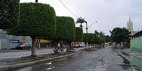 Amlia Rodrigues-BA-Entrada da cidade-Foto:Otavio Cardoso