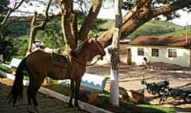 Pereirinhas - 
