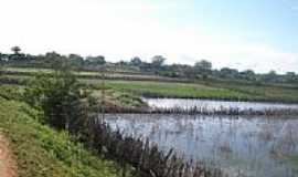 Angico - Lagoa em Angico-BA-Foto:James Pereira dos Sa