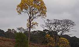 Piedade do Rio Grande - Natureza