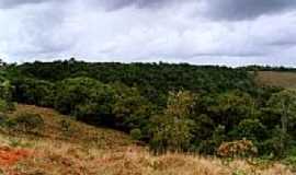 Piedade do Rio Grande - Panorama