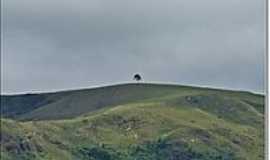Pimenta - rvore solitria na montanha em Pimenta-Foto:(_)-Aender (Arcos-
