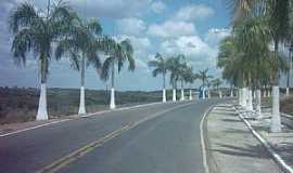 Antnio Cardoso - Antnio Cardoso-BA-Avenida na entrada da cidade-Foto:Nivas Larsan