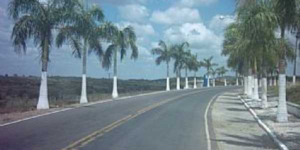 Antnio Cardoso-BA-Avenida na entrada da cidade-Foto:Nivas Larsan