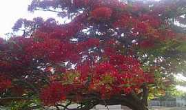 Planura - Planura - MG