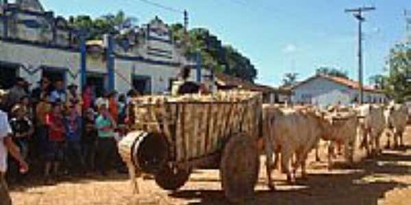 Carro de boi em Poes-Foto:Wilson Fortunato