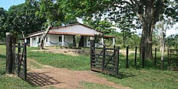 Araas-BA-Fazenda Lagoa Nova-Foto:Dimitri Argolo Cerqueira