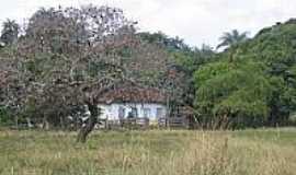 Quartel de So Joo - Casa na rea rural em Quartel de So Joo-Foto:trekearth.